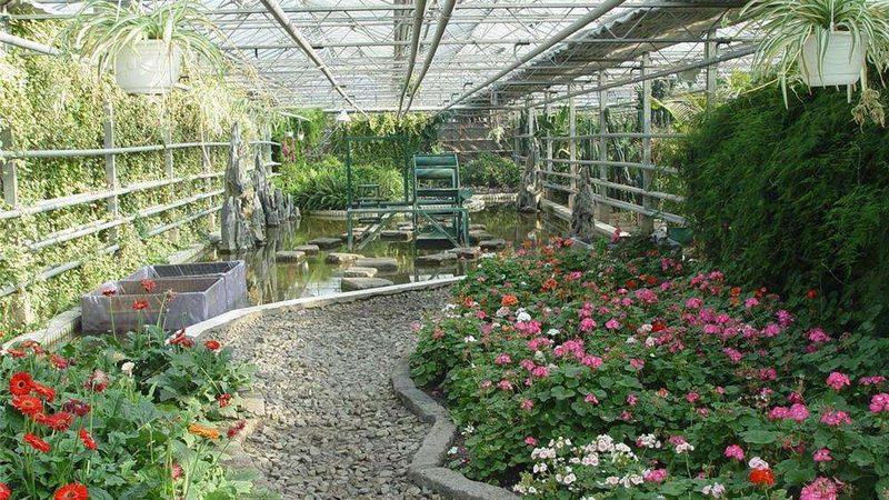 农业种植流程规范标准：打造绿色、高效、可持续的种植模式