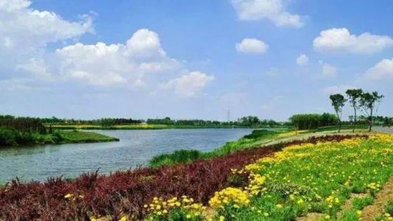 绿色食品价格之谜：揭秘其价值与市场定位