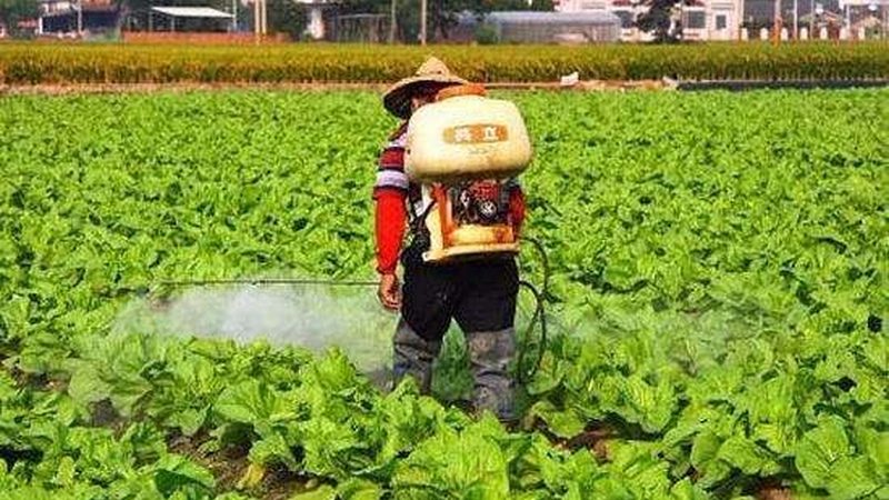 农资集采定制服务：农业现代化的新引擎