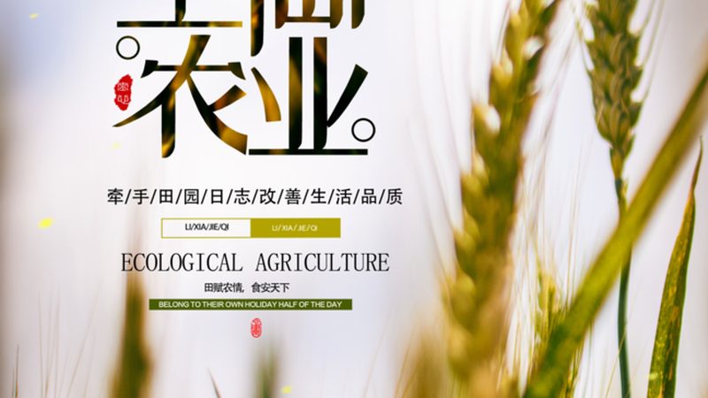 北京绿色食品标志到期续展，这些要点你必须知道**