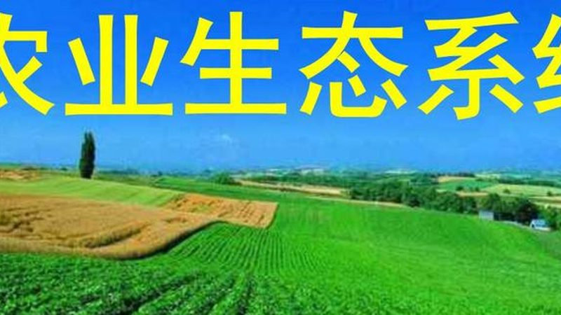 设施农业日光温室：揭秘其优缺点