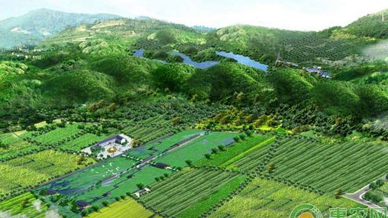 农业观光园节庆活动策划公司