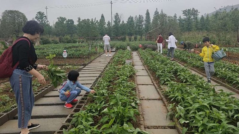 企业食堂食材配送，如何挑选合适供应商？**