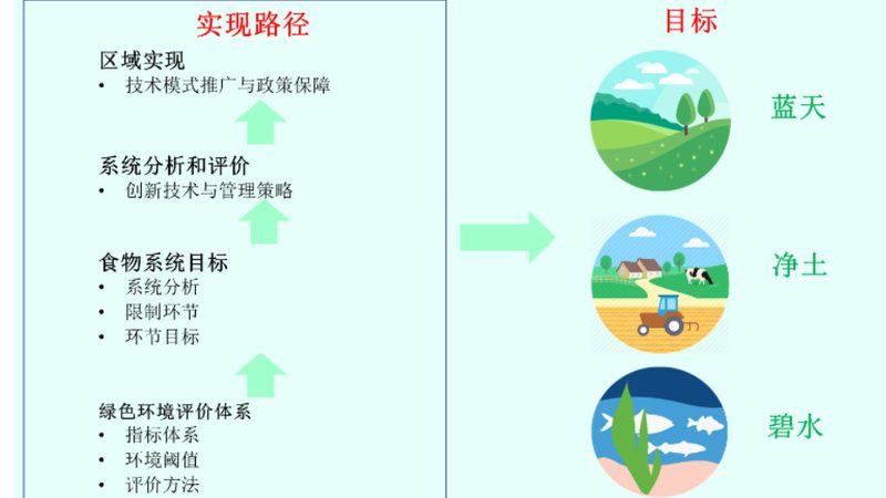 生鲜配送中心分拣：效率与品质的守护者