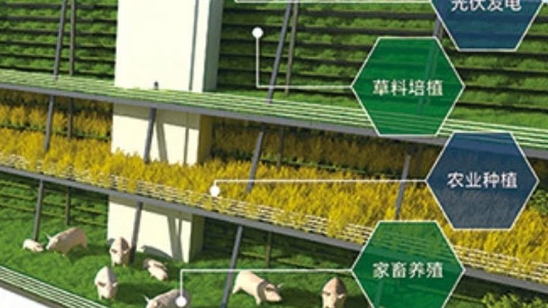 农民合作社联合社理事会产生流程详解
