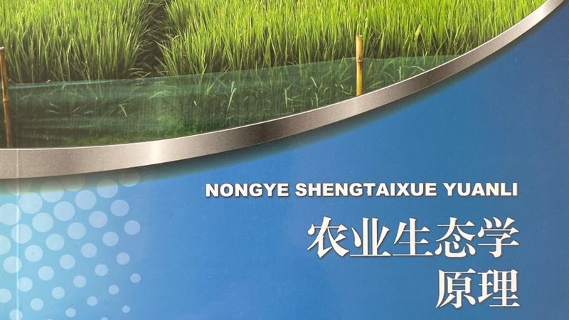农药肥料店装修：细节决定成败的关键因素**