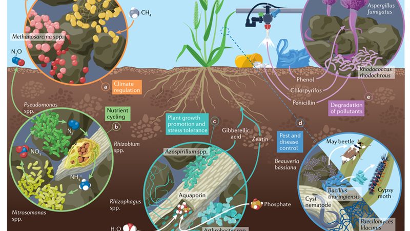 水果种植农药混配禁忌表