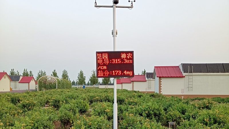 山东农资价格波动背后的市场逻辑**